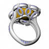 Ring with Cushion and Marquises, 17.5 mm